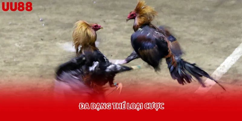 Đa dạng thể loại cược